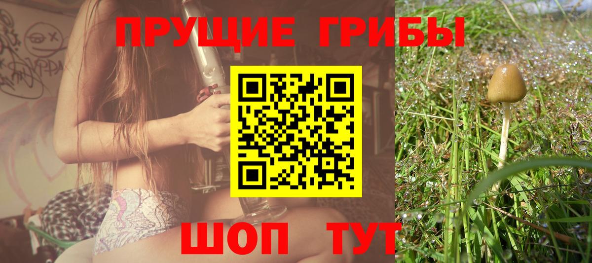 Учалы  Галлюциногенные грибы Psilocybine cubensis  Вход с VPN 